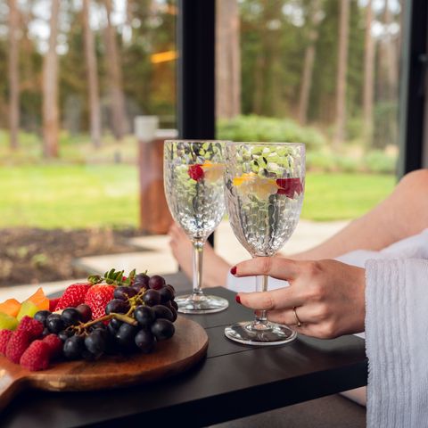 VAKANTIEHUIS 2 personen - Wellness Suite Boszicht met Hottub & Dubbele Sauna 