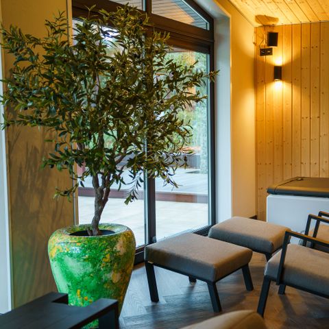VAKANTIEHUIS 2 personen - Wellness Suite Boszicht met Hottub & Dubbele Sauna 