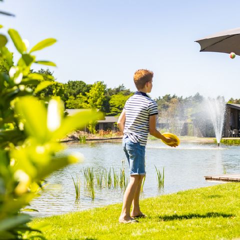 Vakantiepark Molenvelden - Veldhoven - Afbeelding N°6