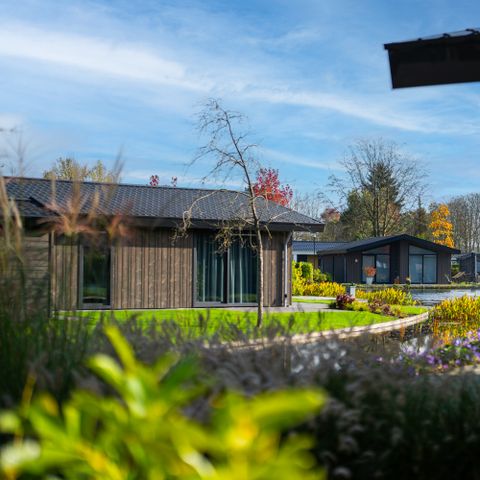 Vakantiepark Molenvelden - Veldhoven - Afbeelding N°4