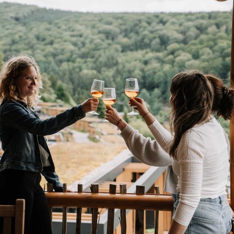 Accommodatie 4 personen - Luxe boomhut met glijbaan