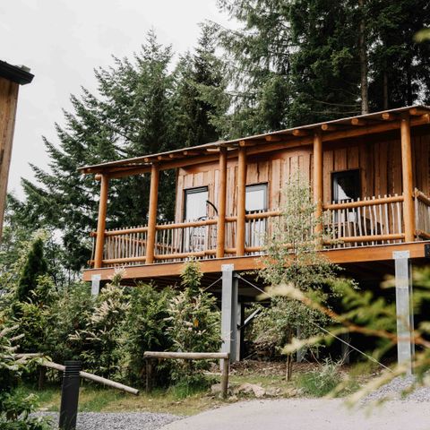 Accommodatie 4 personen - Luxe boomhut met glijbaan