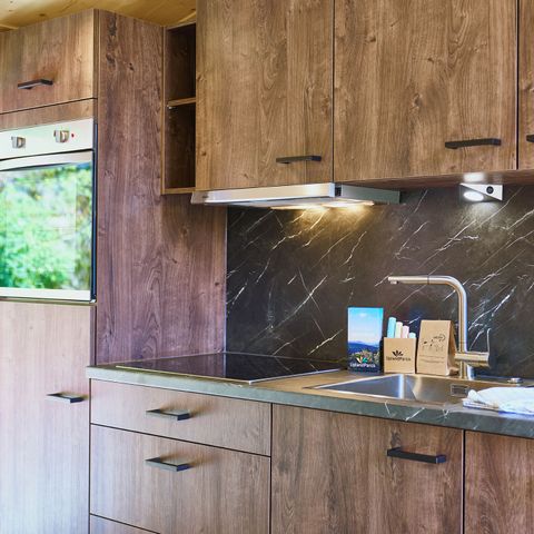 Accommodatie 4 personen - Luxe boomhut met glijbaan