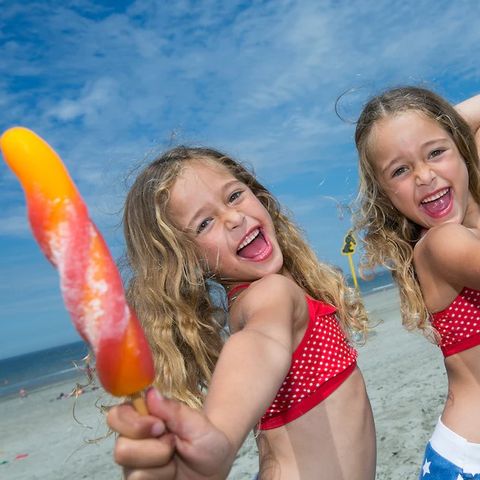 Landal Camping De Zandput - Veere - Afbeelding N°4