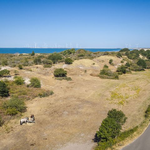 Landal Camping De Zandput - Veere - Afbeelding N°4