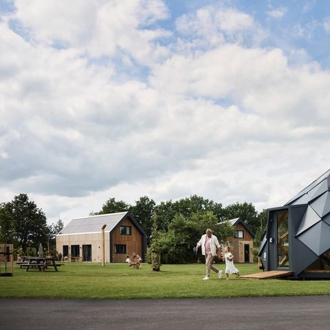 Brinckerduyn - Ooststellingwerf - Afbeelding N°5