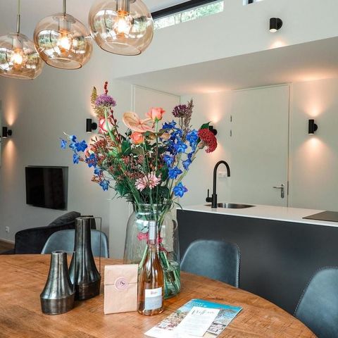 LODGE 6 personen - Lodge Luxe Lodge + hottub