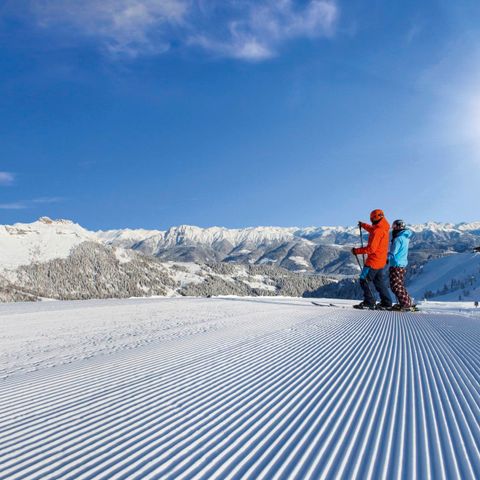 UNIEKE ACCOMMODATIE 3 personen - Trekkershut 2+1