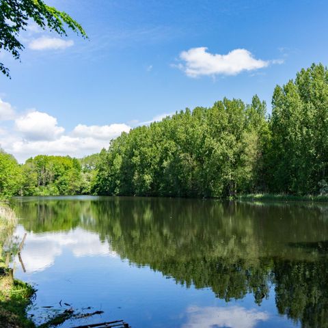 STAANPLAATS - Camperplaats Comfort aan het water