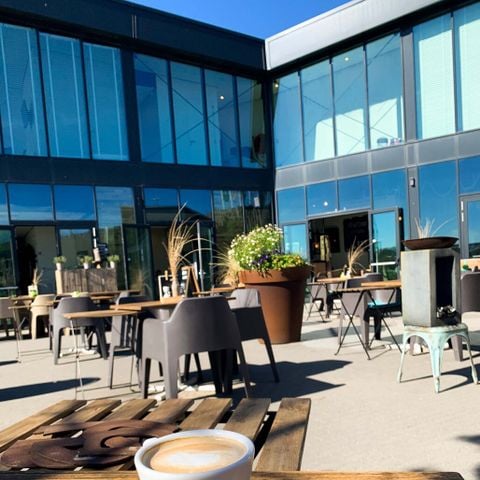 Landal Bloemendaal aan Zee - Bloemendaal - Afbeelding N°5