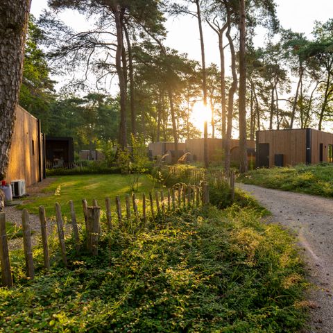 Lodge 2 personen - Boslodge Royal