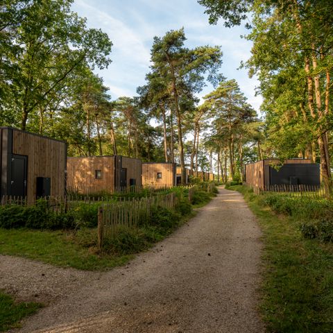 Lodge 2 personen - Boslodge Royal met sauna 