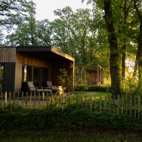 Lodge 2 personen - Boslodge Royal met sauna  en hondenhek