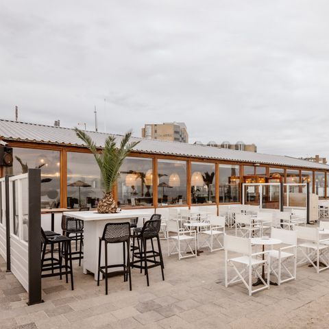 Landal Zandvoort - Zandvoort - Afbeelding N°6