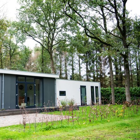 Lodge 6 personen - Drenthe Huisdiervrij