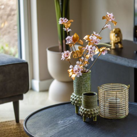 VAKANTIEHUIS 6 personen - Ecovilla Boszicht Comfort