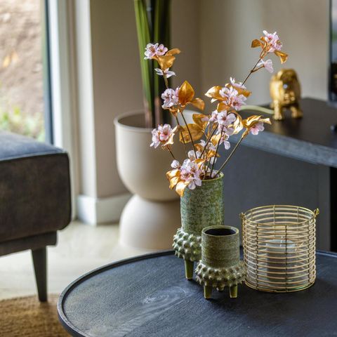 VAKANTIEHUIS 6 personen - Ecovilla Waterzicht Comfort