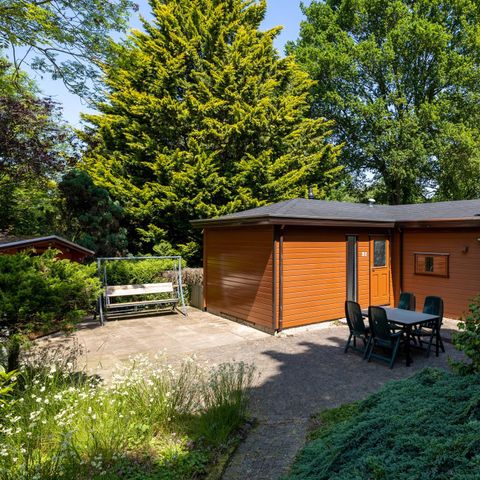 Lodge 4 personen - Heide