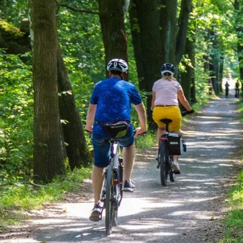 Urban Gardens Gent - Oost-Vlaanderen - Afbeelding N°3