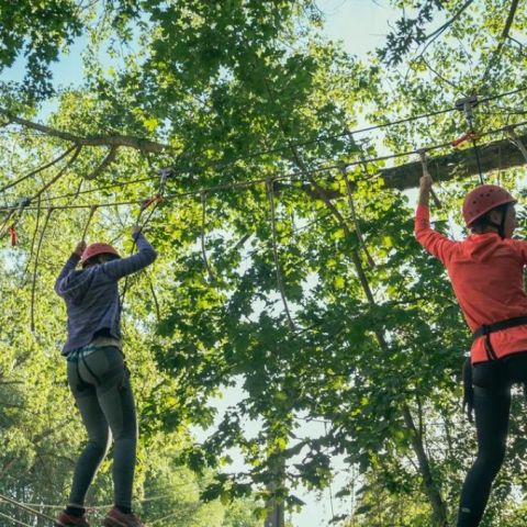 Urban Gardens Gent - Oost-Vlaanderen - Afbeelding N°4
