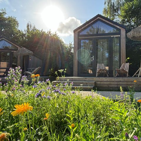 Urban Gardens Gent - Oost-Vlaanderen - Afbeelding N°6