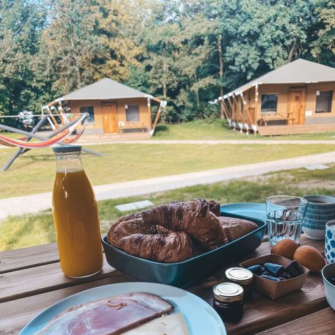 Urban Gardens Gent - Oost-Vlaanderen - Afbeelding N°5