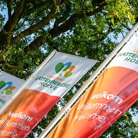 Mooi Twente lodges - Camping Hof von Twente - Afbeelding N°6