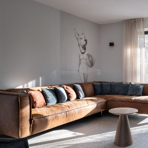 VAKANTIEHUIS 6 personen - Duingras Huisdiervriendelijk