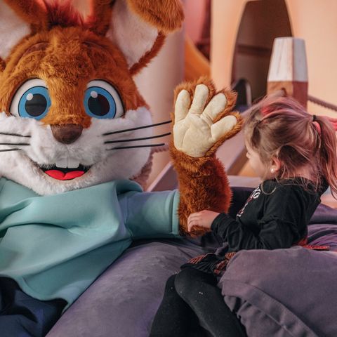 Roompot Ferienresort Cochem - Rijnland-Palts - Afbeelding N°4