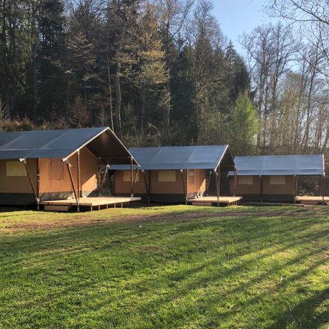 Safaritent 6 personen