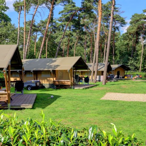 Safaritent 6 personen - incl. sanitair