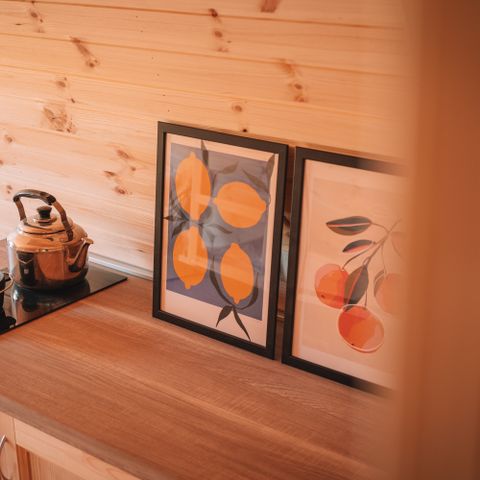 UNIEKE ACCOMMODATIE 4 personen - Pod