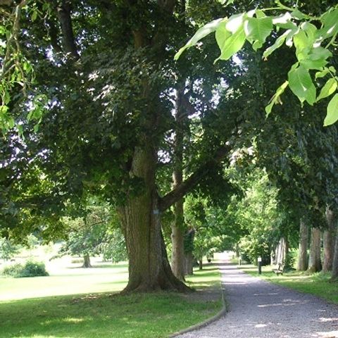 Gîte d'Etape de VillersSteGertrude - Belgisch-Luxemburg - Afbeelding N°5