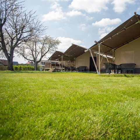 Safaritent 6 personen - Premium Maaszicht