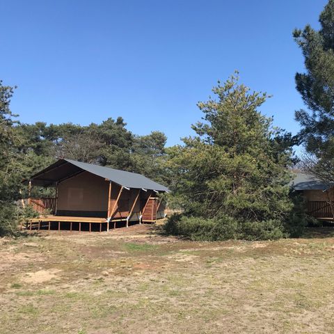 Safaritent 6 personen - incl. sanitair