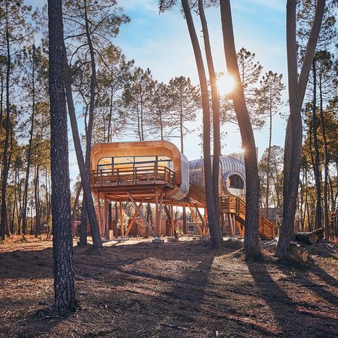 Accommodatie 6 personen - Boomhut LG2241