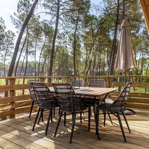 UNIEKE ACCOMMODATIE 4 personen - Boomhuis LG2243