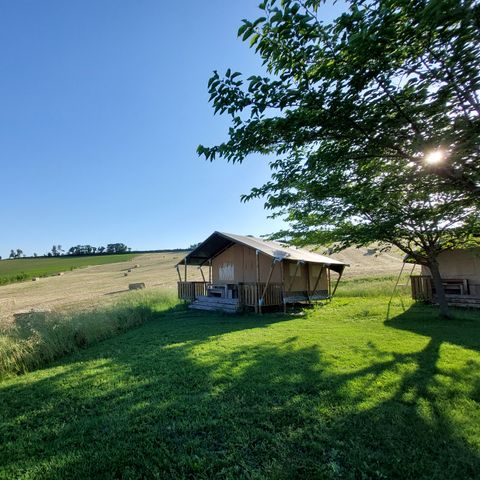 Vodatent Camping Tenuta Tredici Ulivi - Ancona - Afbeelding N°5