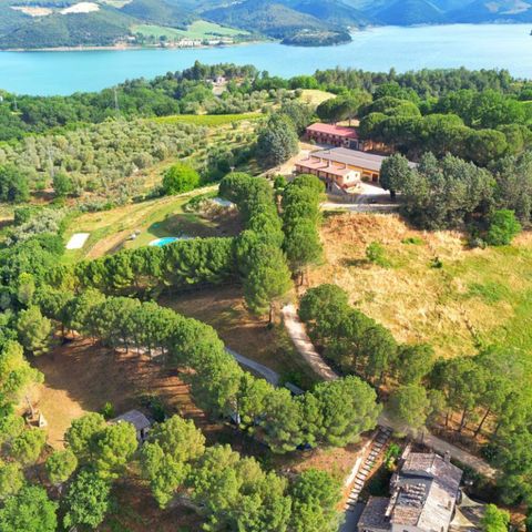 Vodatent Camping Casa & Glamping Sorriso - Terni - Afbeelding N°2