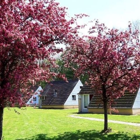 Bungalow 3 personen - Alpha