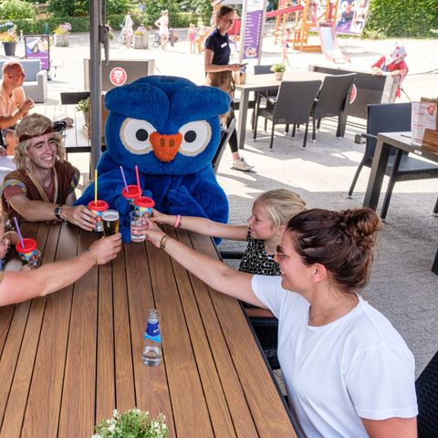 Kampeerdorp de Zandstuve - Hardenberg - Afbeelding N°6