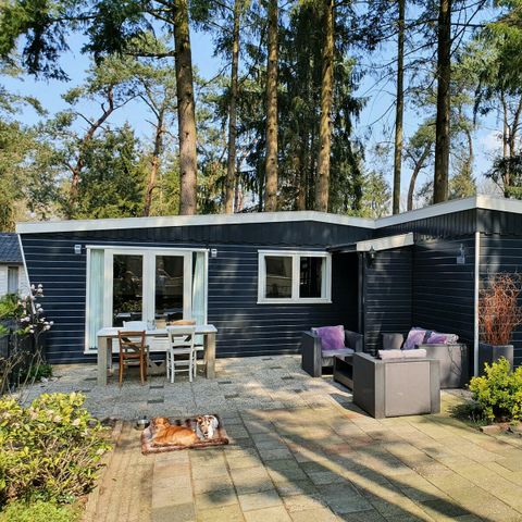 Stacaravan 4 personen - stacaravan/chalet IJsselheide 115
