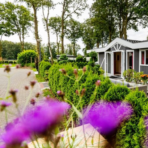 Chalet 6 personen - Standaard