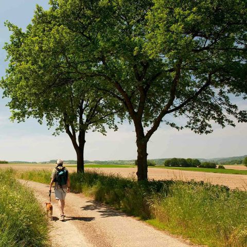 VAKANTIEHUIS 6 personen - Deluxe