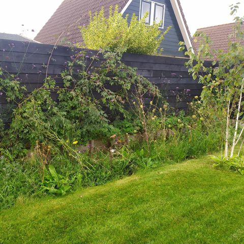 Bungalow 7 personen - 68