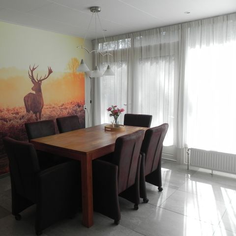 Bungalow 6 personen - Geelgors