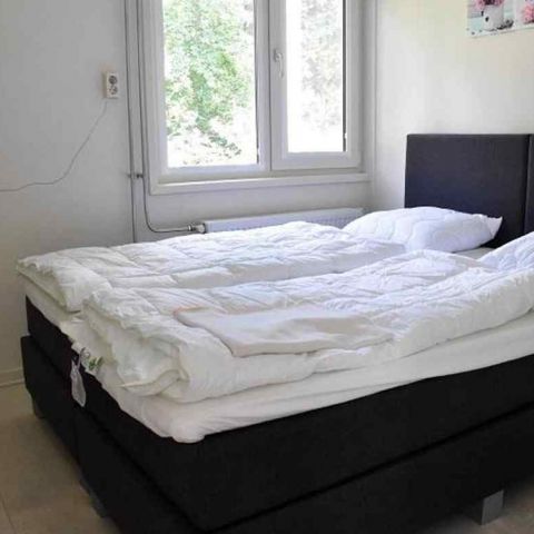 Bungalow 4 personen - Kievit