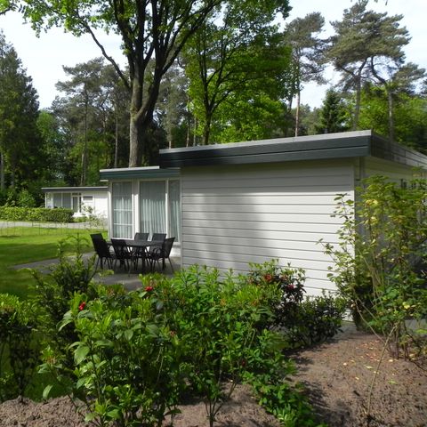 Bungalow 6 personen - Roodborstje