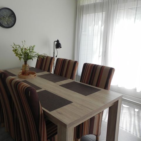 Bungalow 6 personen - Roodborstje