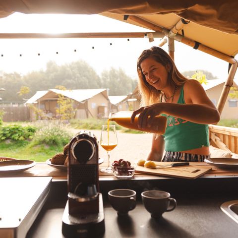 Sahara Stay - Westland - Afbeelding N°6